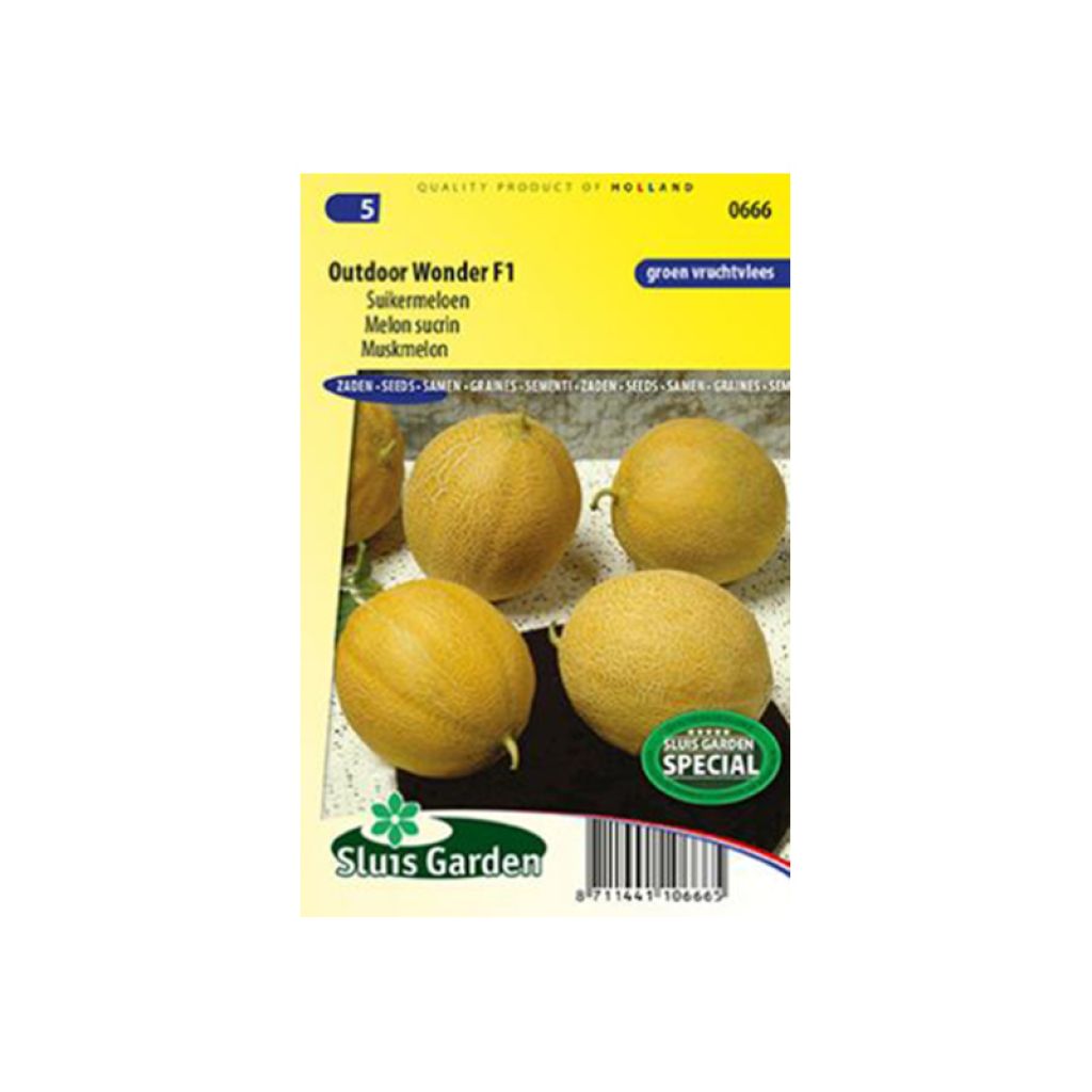 Melon sucrin Polidor F1