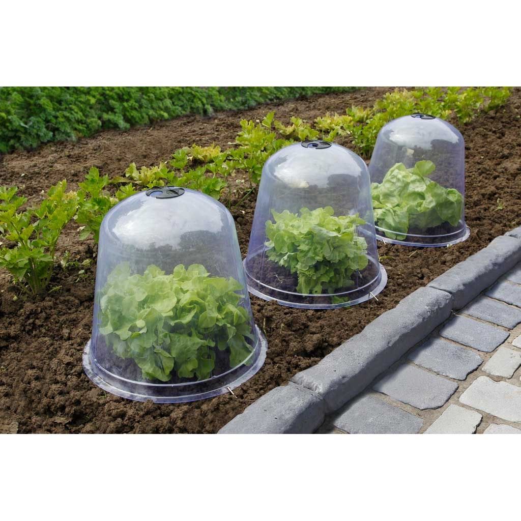 Cloche à salade transparente PVC  Ø 33.5 cm x 30 cm - Lot de 3