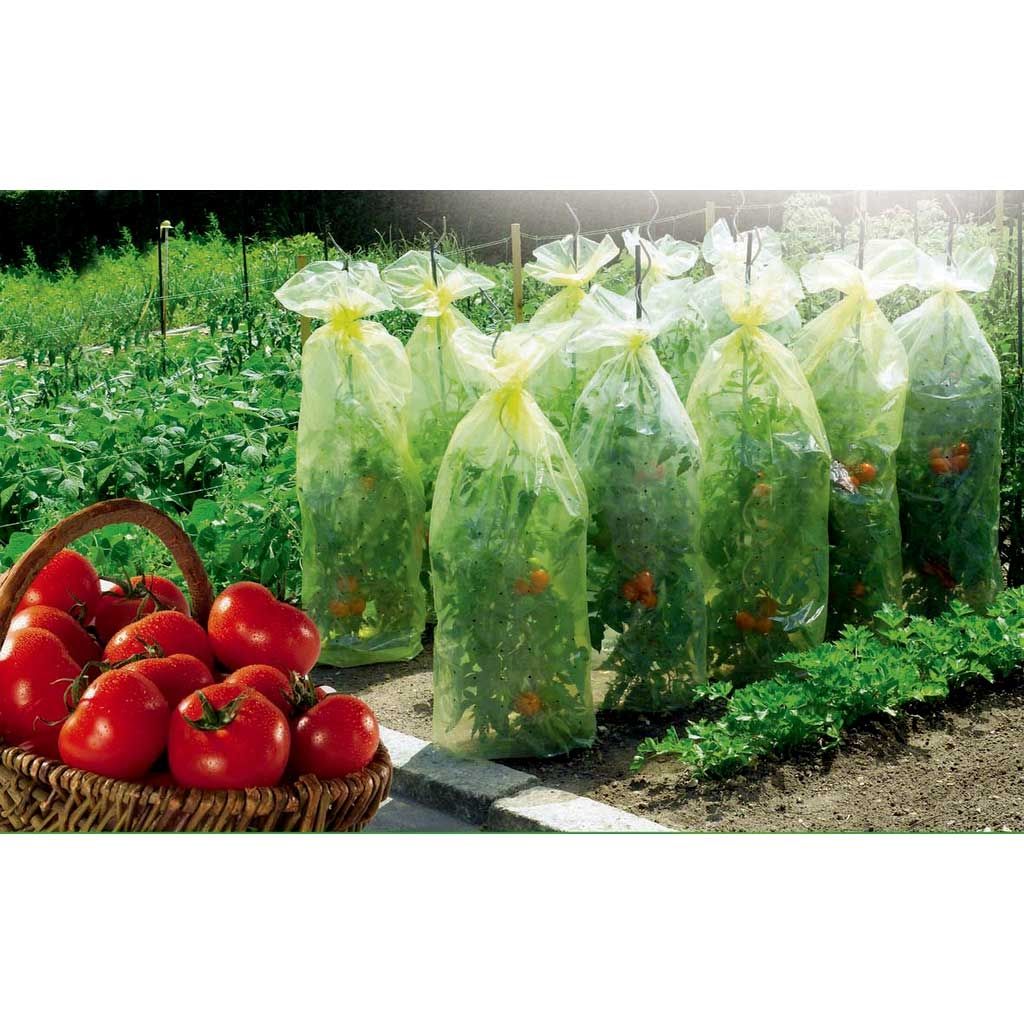 Housse de croissance tomates 50 microns Tomatotube Nortène