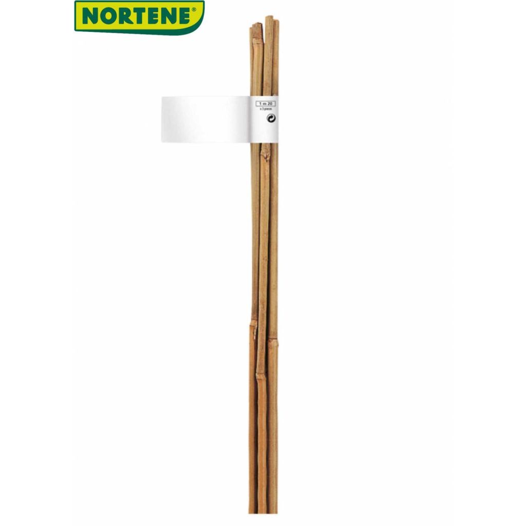 Tuteur bambou naturel lot de 6  (Ø 6/8 mm x 0,60 m) BAMBOO 