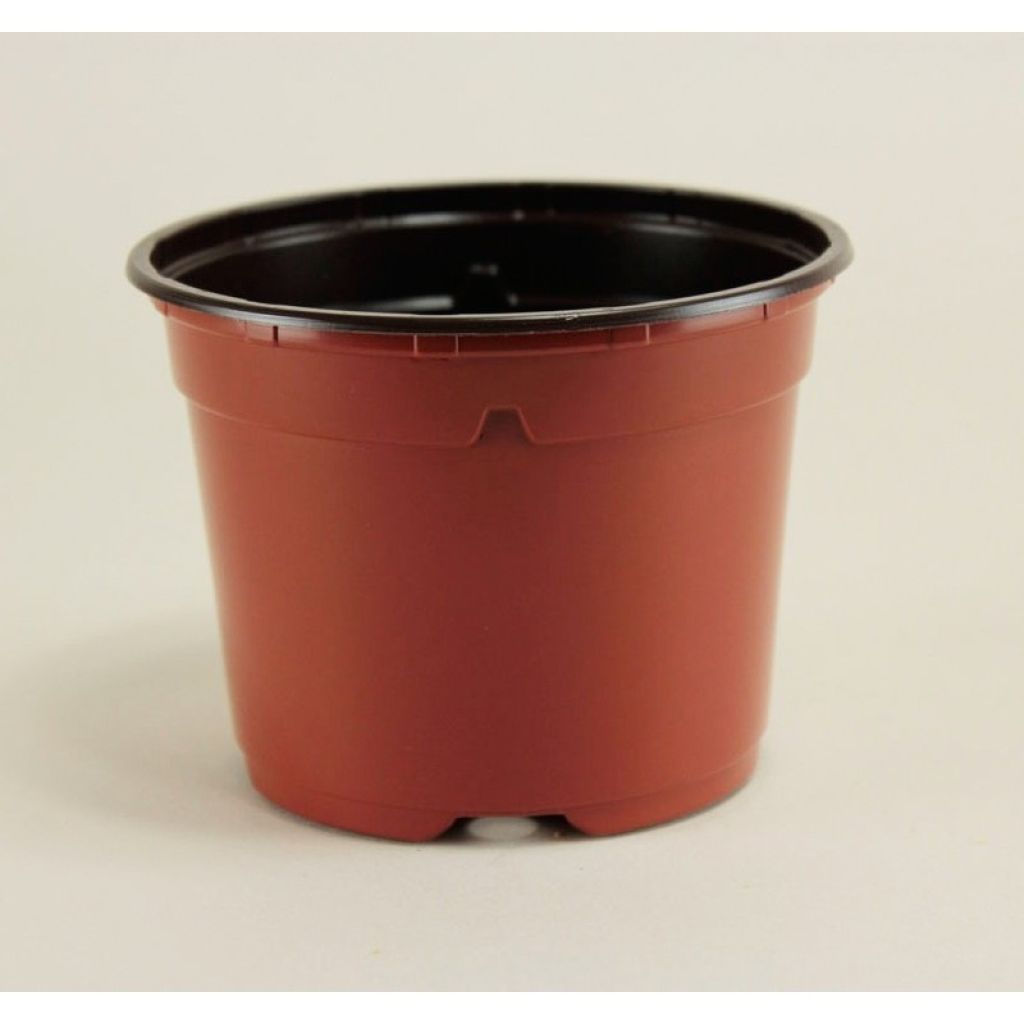 Pots rond terracotta