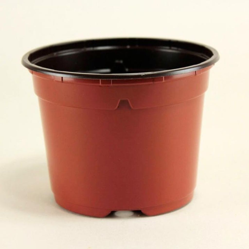 Pots rond terracotta - différentes dimensions disponibles