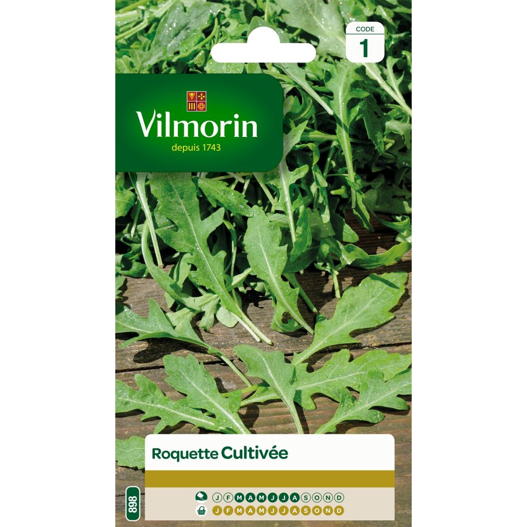 Roquette cultivée - Vilmorin
