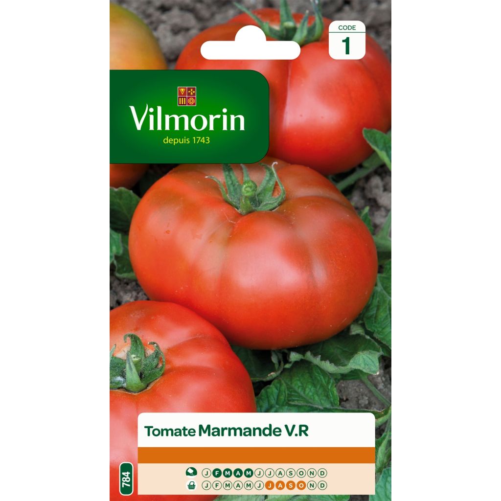 Tomate Marmande - Vilmorin
