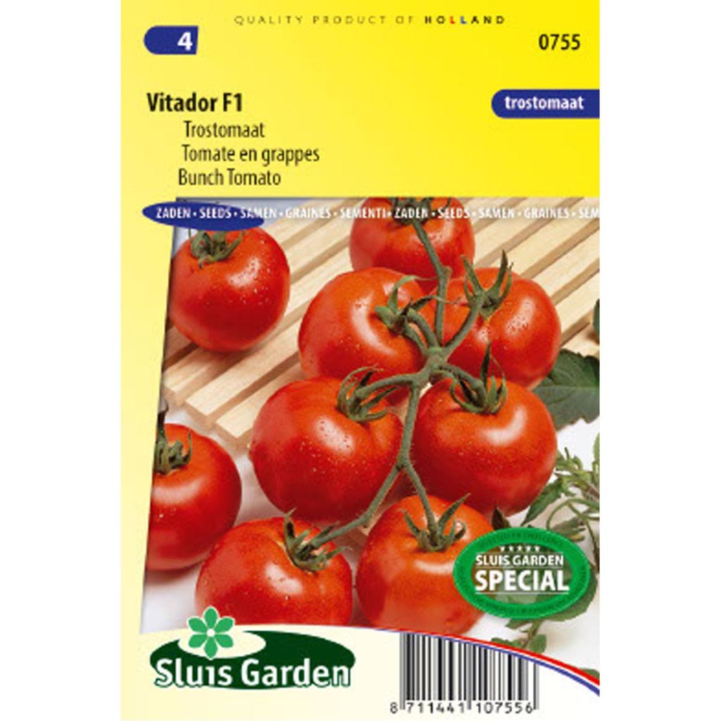 Tomate Vitador F1 - Tomates grappe