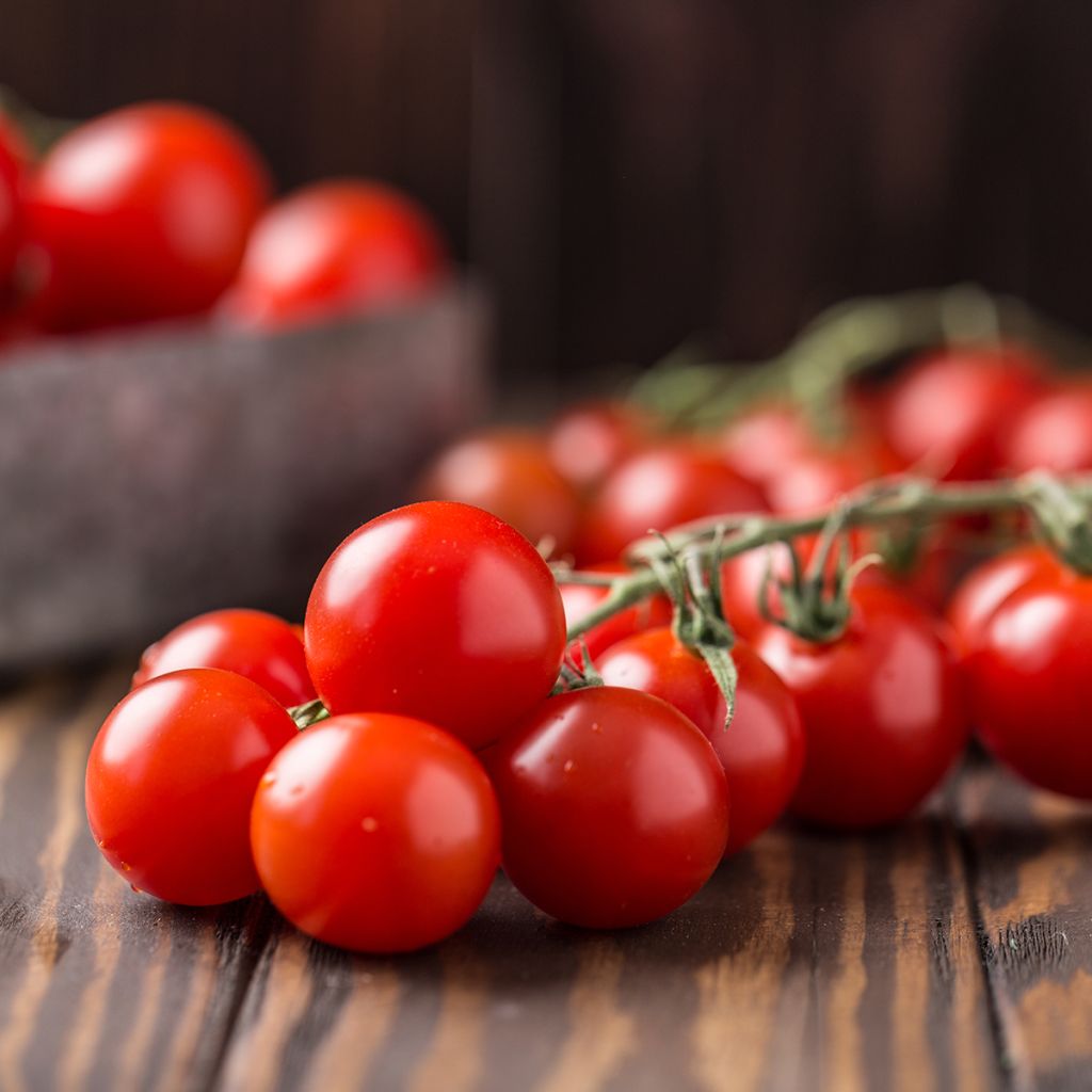 Tomate cerise