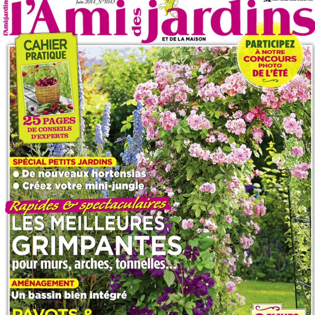 Abonnement découverte 3 mois l'Ami des Jardins