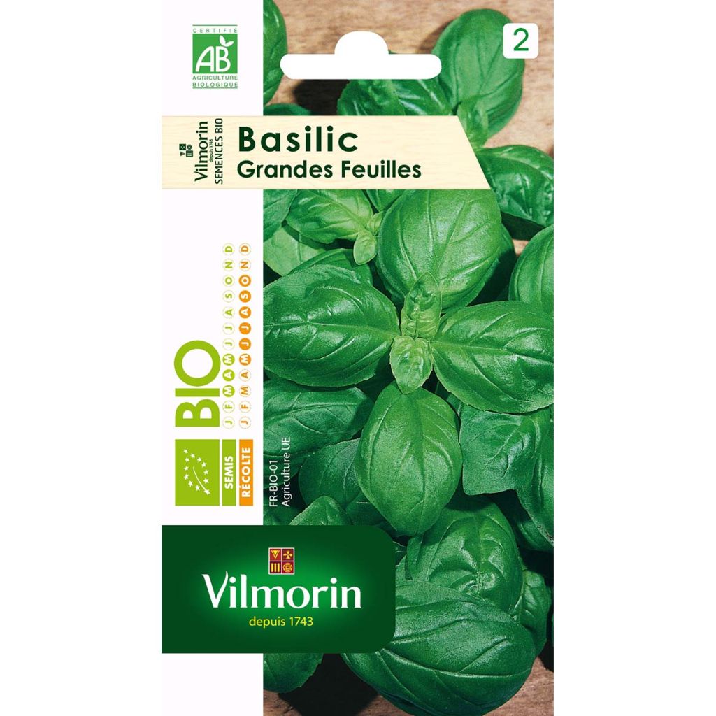 Basilic à grande feuille Bio - Vilmorin