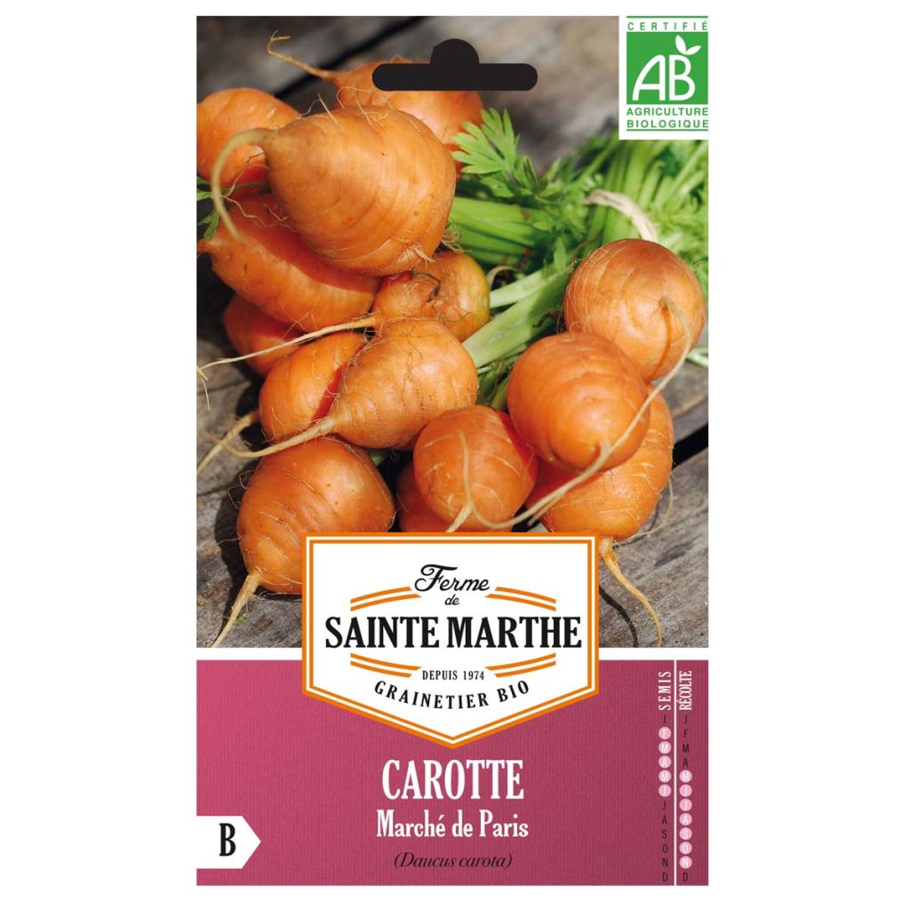 Carotte Marché de Paris Bio - Ferme de Sainte Marthe 