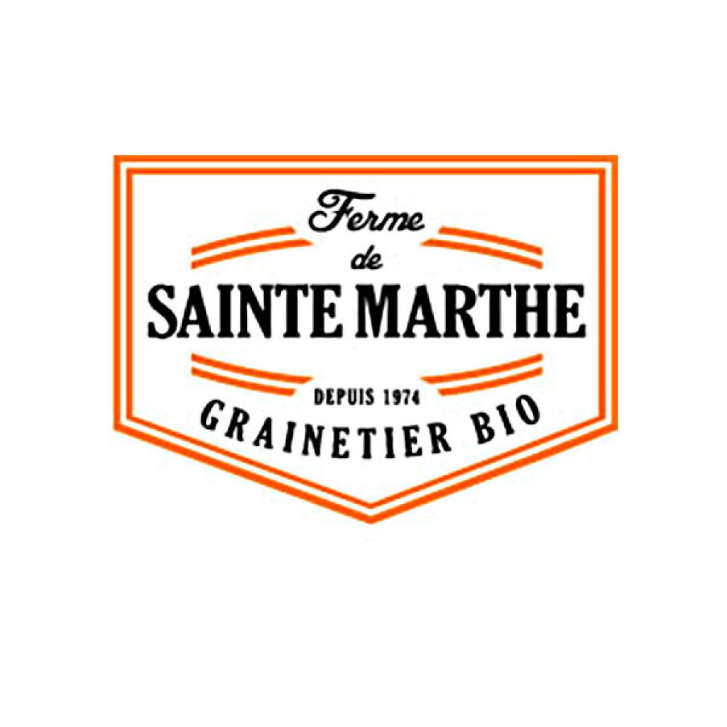 Carotte Yellowstone NT - Ferme de Sainte Marthe