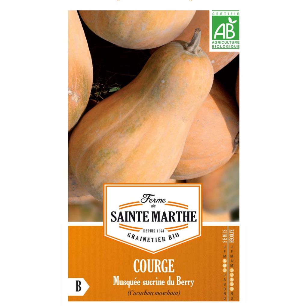 Courge Sucrine du Berry Bio - Ferme de Sainte Marthe