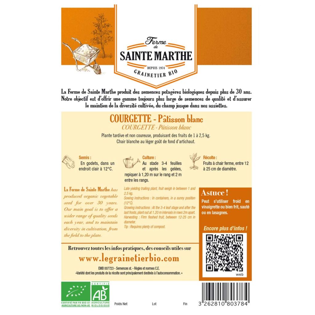 Courgette Pâtisson Blanc AB - Ferme de Sainte Marthe