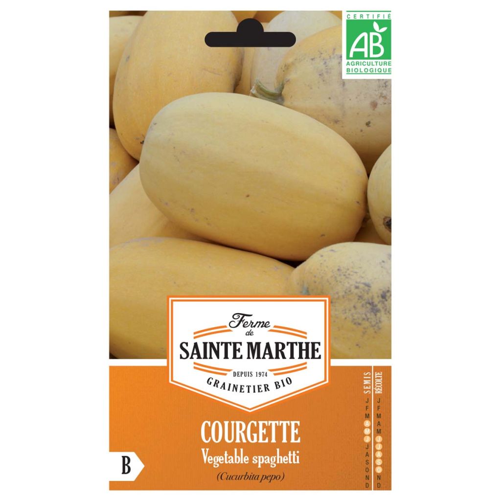 Courgette Vegetable Spaghetti AB - Ferme de Sainte Marthe