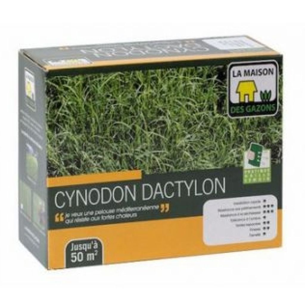 Gazon Cynodon dactylon - Chiendent pour pelouse tropicale