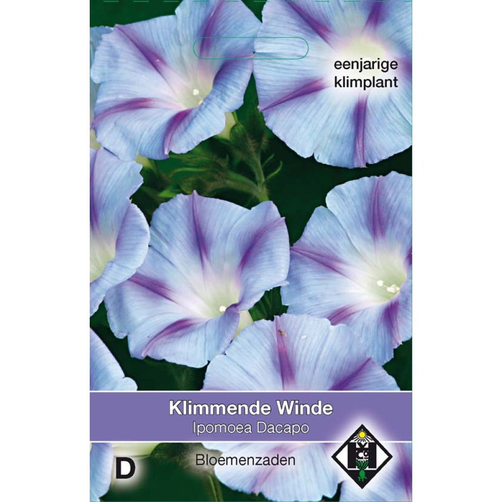 Graines d'Ipomée Dacapo Light Blue - Ipomoea purpurea