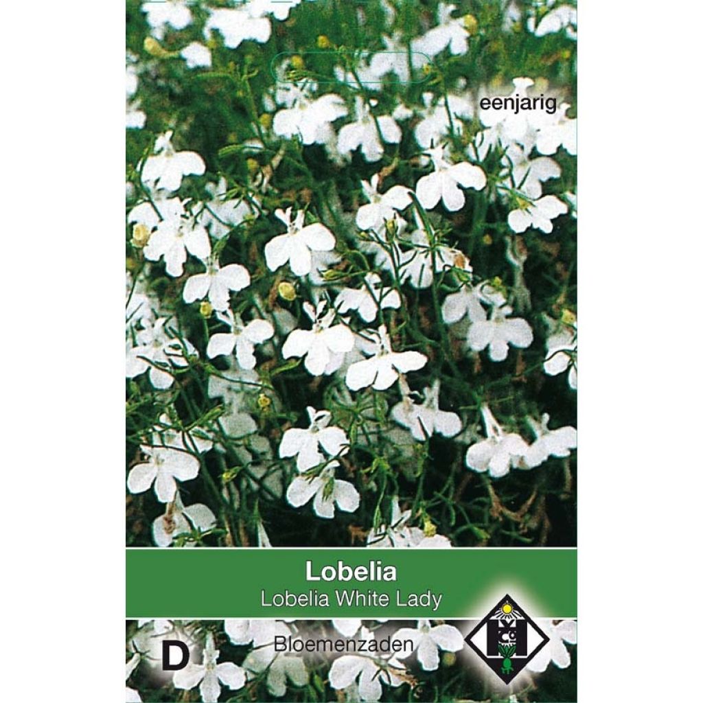 Graines de Lobelia erinus White Lady