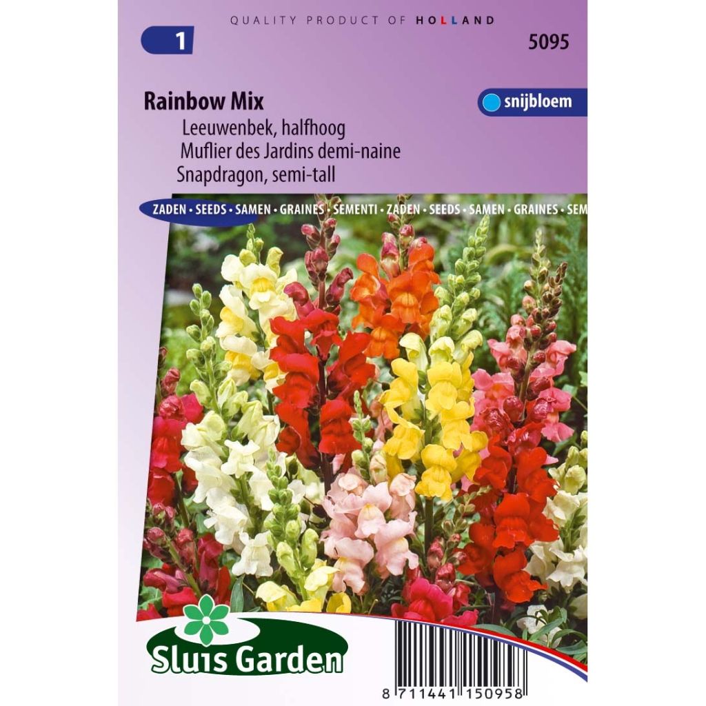 Graines de Muflier nain Rainbow en mélange - Antirrhinum majus