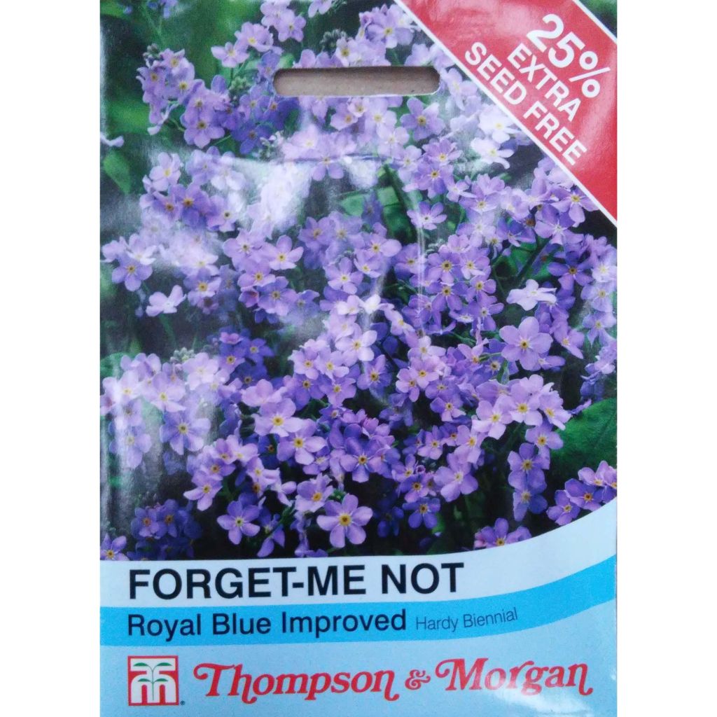 Graines de Myosotis Royal Blue "Forget-me-not"