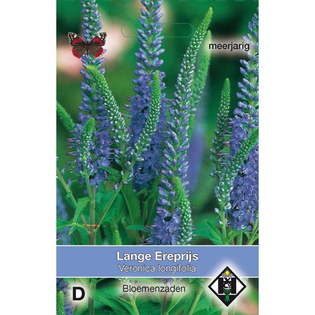 Graines de Véronique à longue feuilles - Veronica longifolia