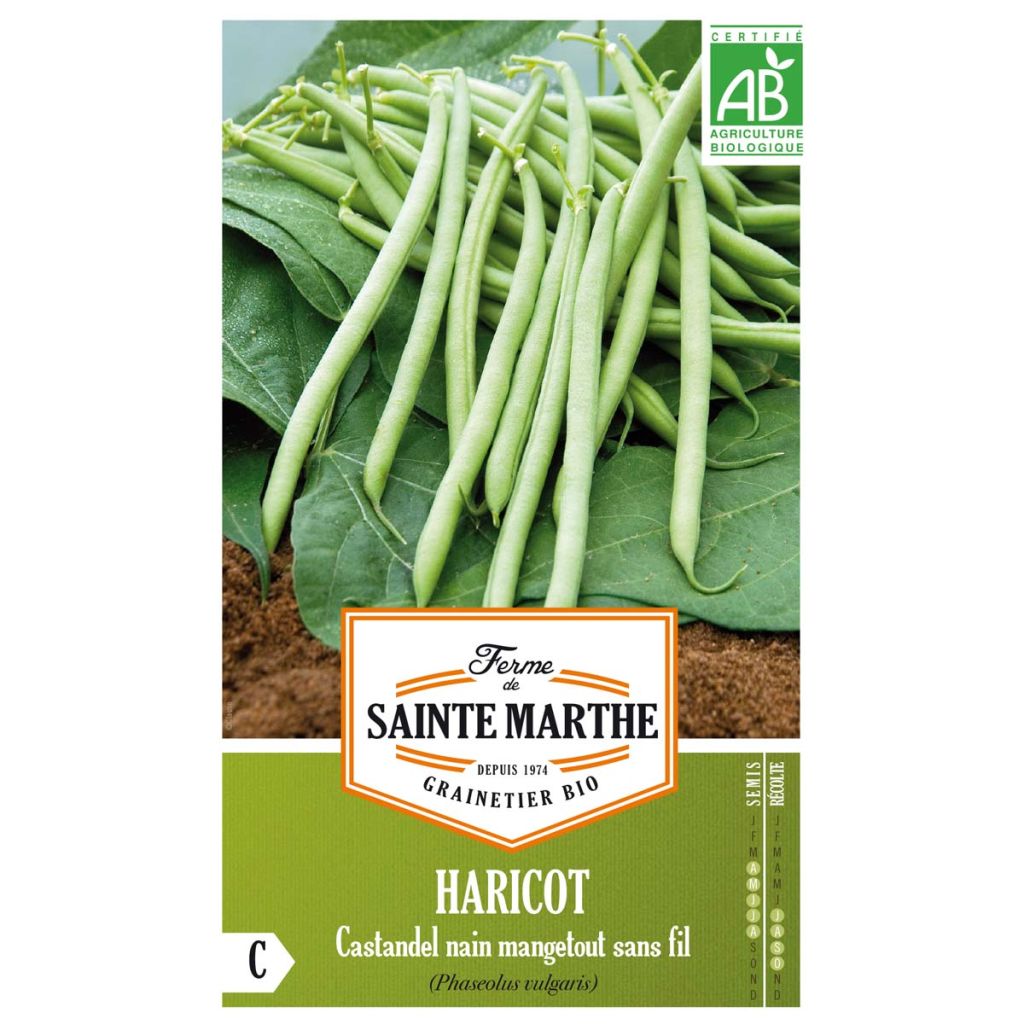 Haricot Castandel Bio - Ferme de Sainte Marthe 