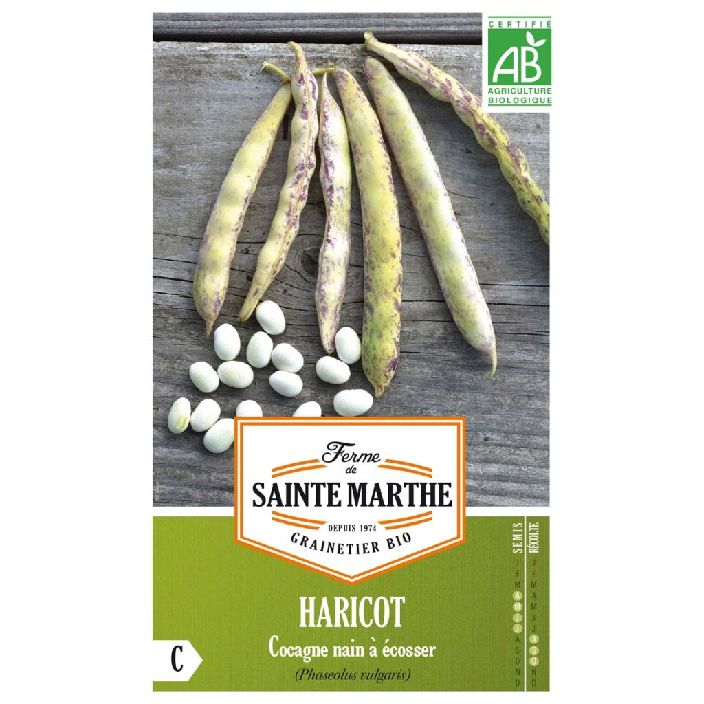 Haricot Cocagne Bio - Ferme de Sainte Marthe 