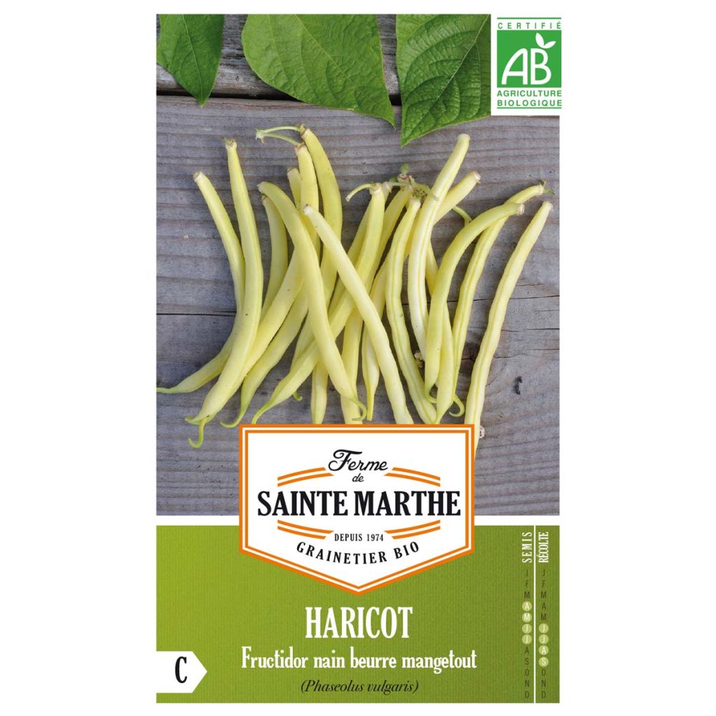 Haricot Fructidor nain beurre Bio – Top 20 - Ferme de Sainte Marthe 