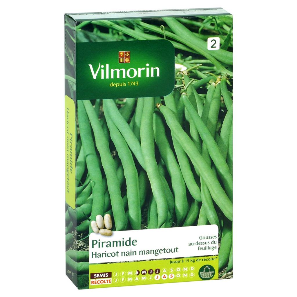 Haricot nain mangetout Piramide - Vilmorin