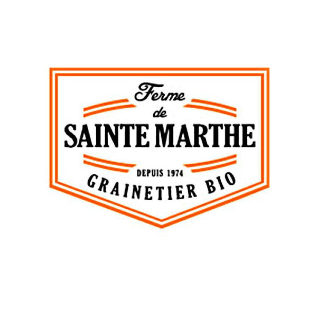 Laitue Rouge Carinale NT - Ferme de Sainte Marthe