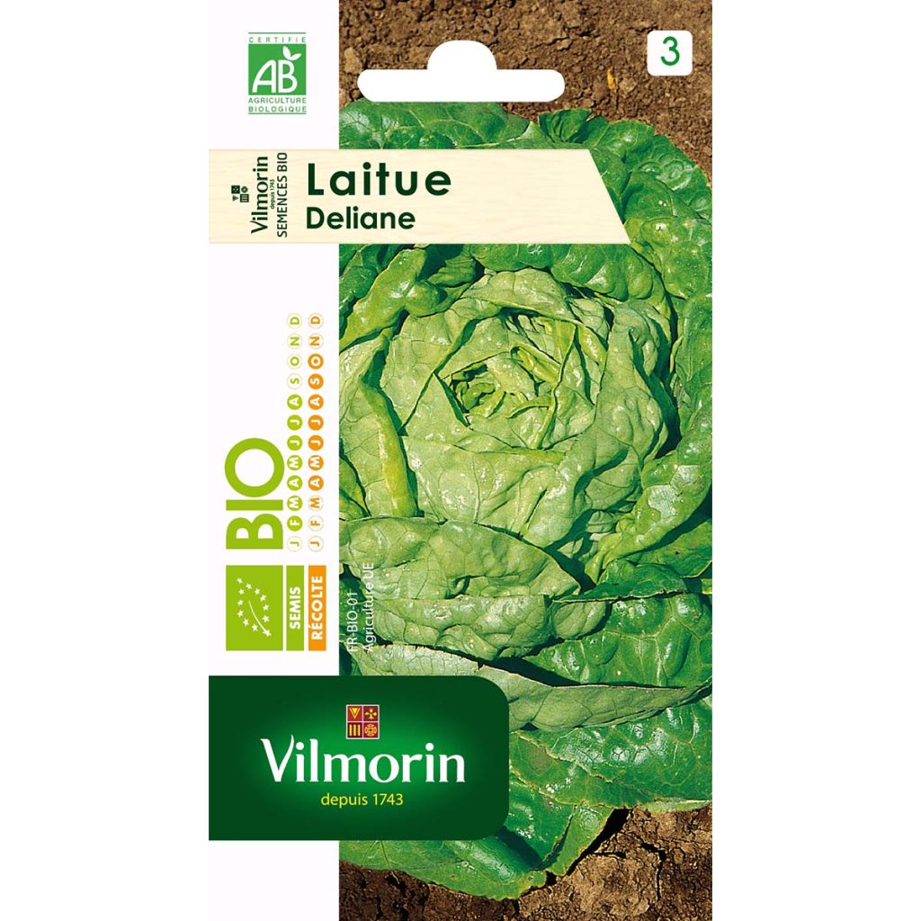 Laitue Deliane Bio - Vilmorin