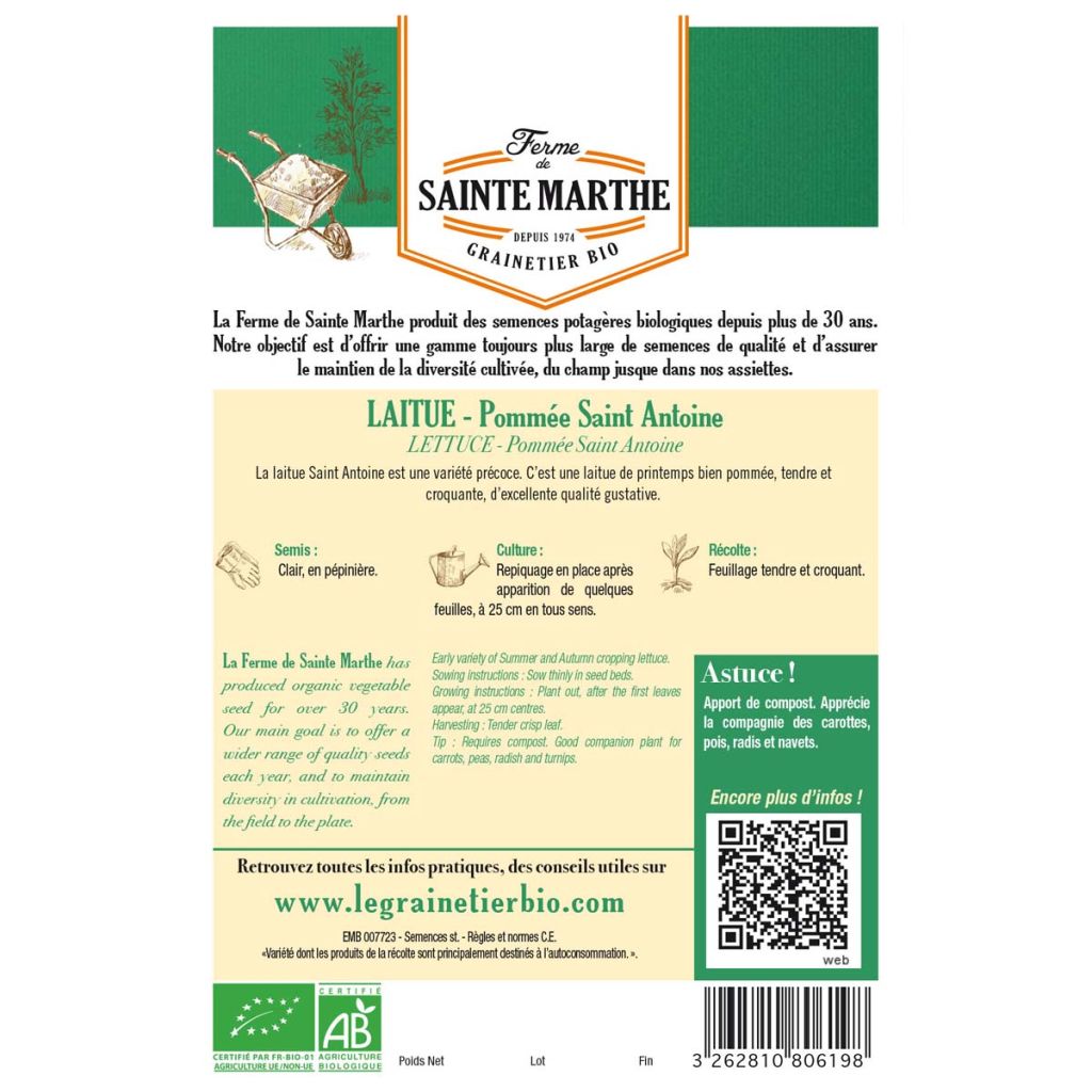 Laitue pommée Saint Antoine Bio - Ferme de Sainte Marthe
