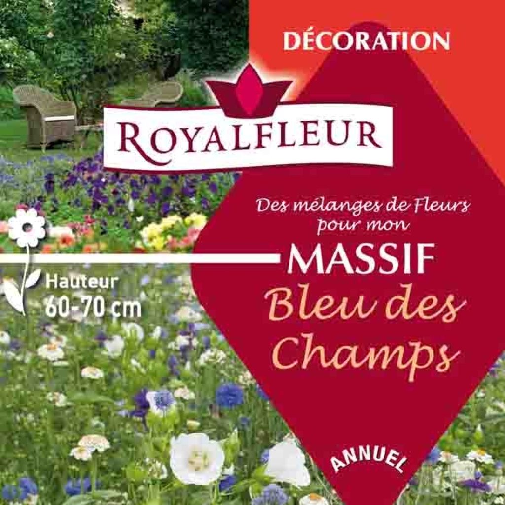 Mélange pour massif bleu des champs - Boite 25 m2