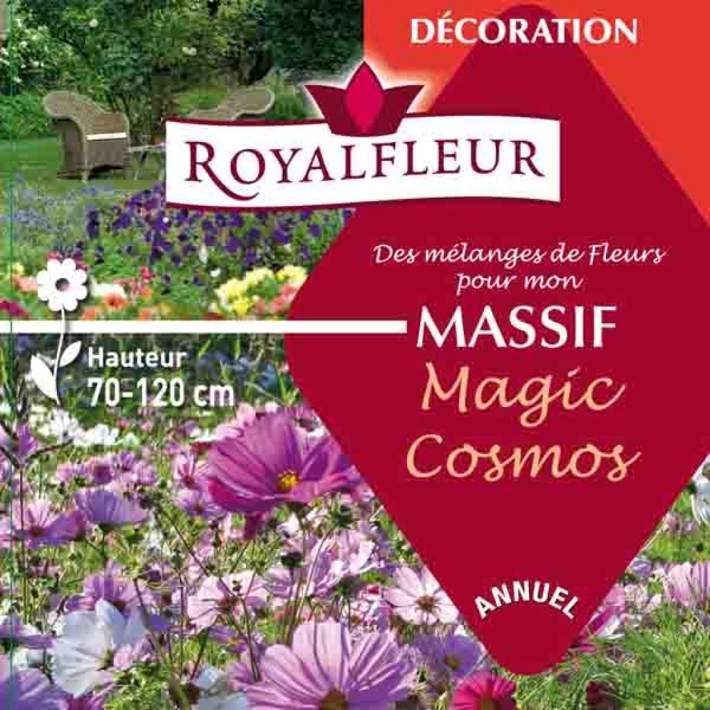 Mélange pour massif Magic Cosmos - Boite 25 m2