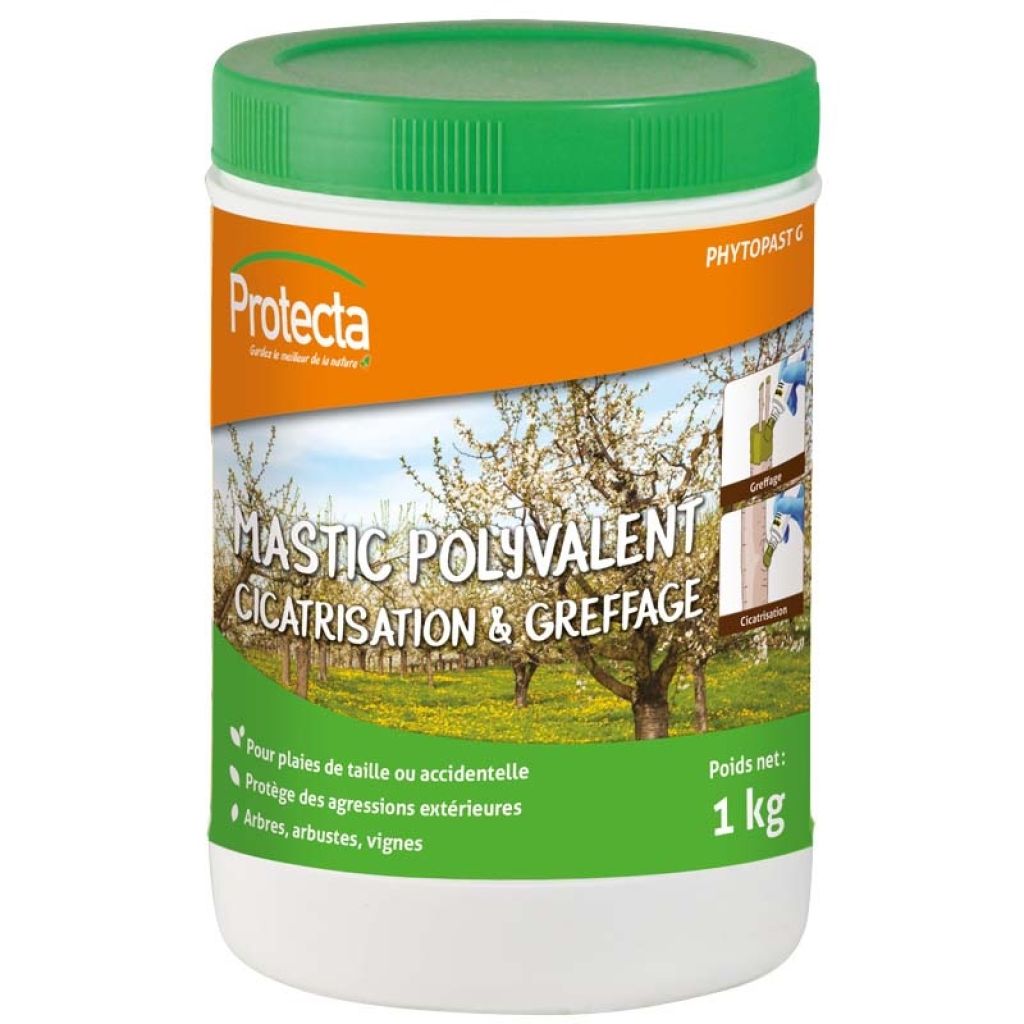 Mastic à cicatriser lhomme lefort pour arbre 75 g