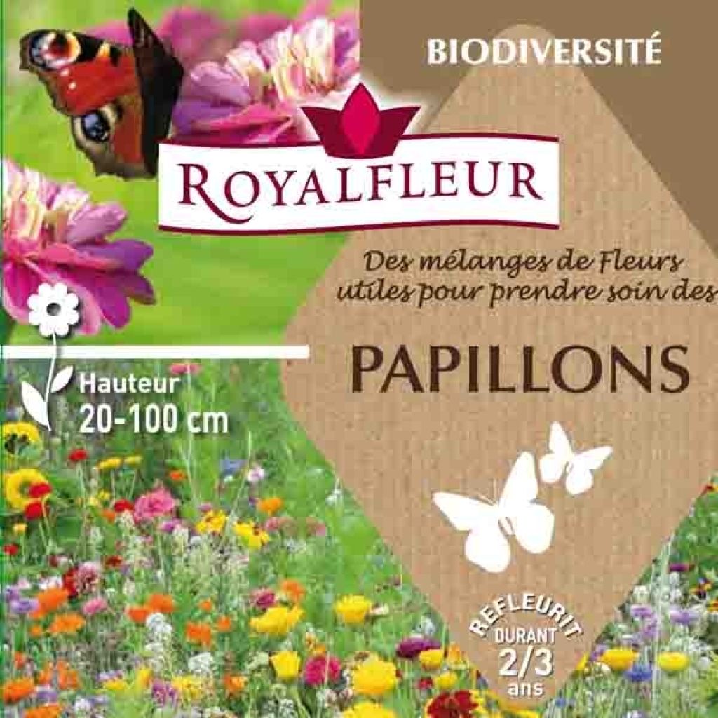 Mélange pour attirer les papillons - Boite 25 m2