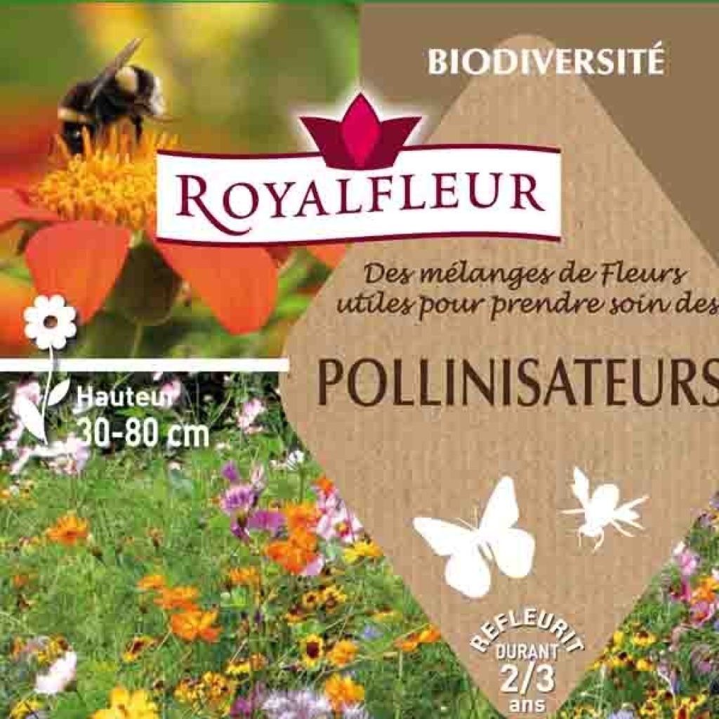 Mélange pour attirer les pollinisateurs - Boite 100 m2