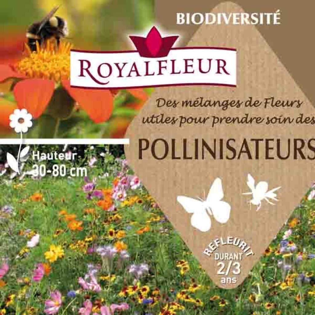Mélange pour attirer les pollinisateurs - Boite 8 m2