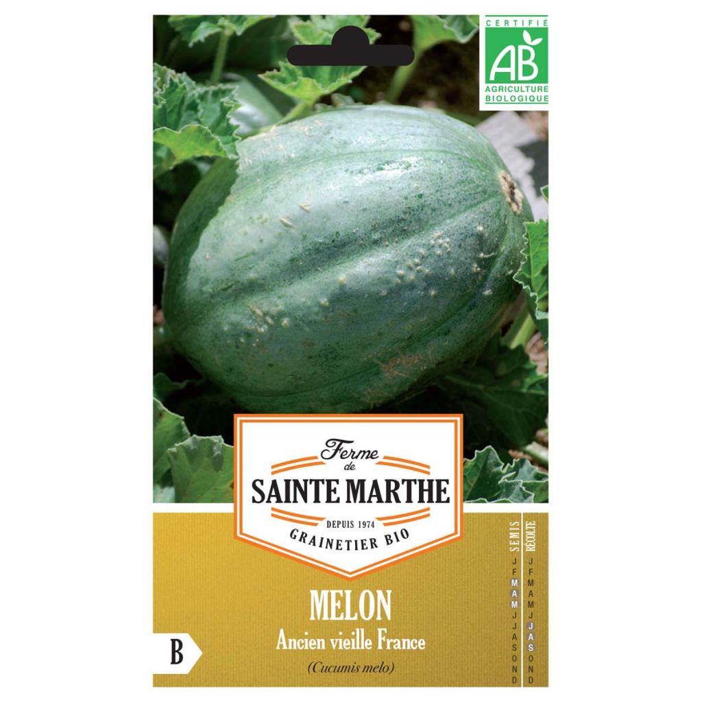Melon Ancien Vieille France Bio - Ferme de Sainte Marthe