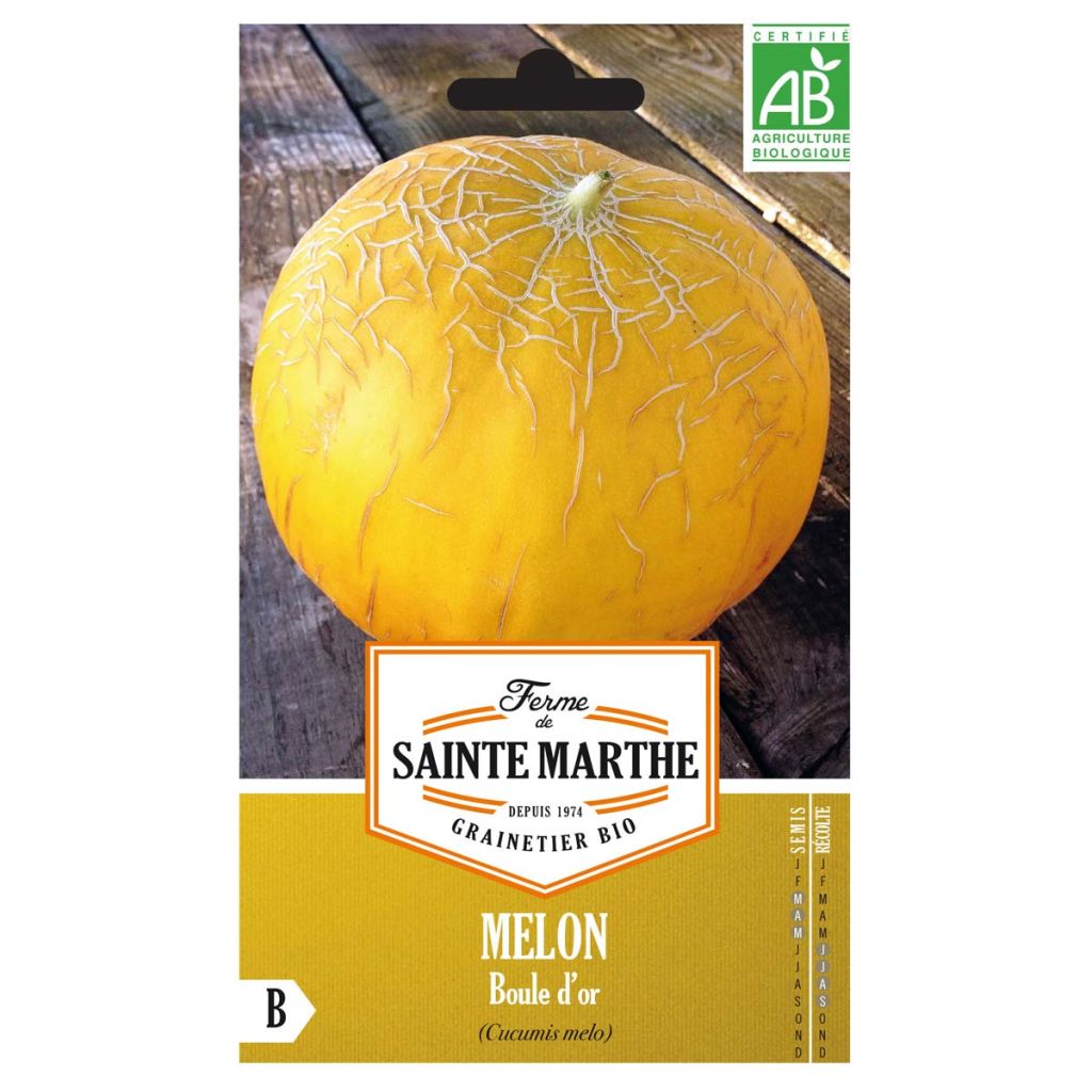 Melon Boule d'Or Bio - Ferme de Sainte Marthe