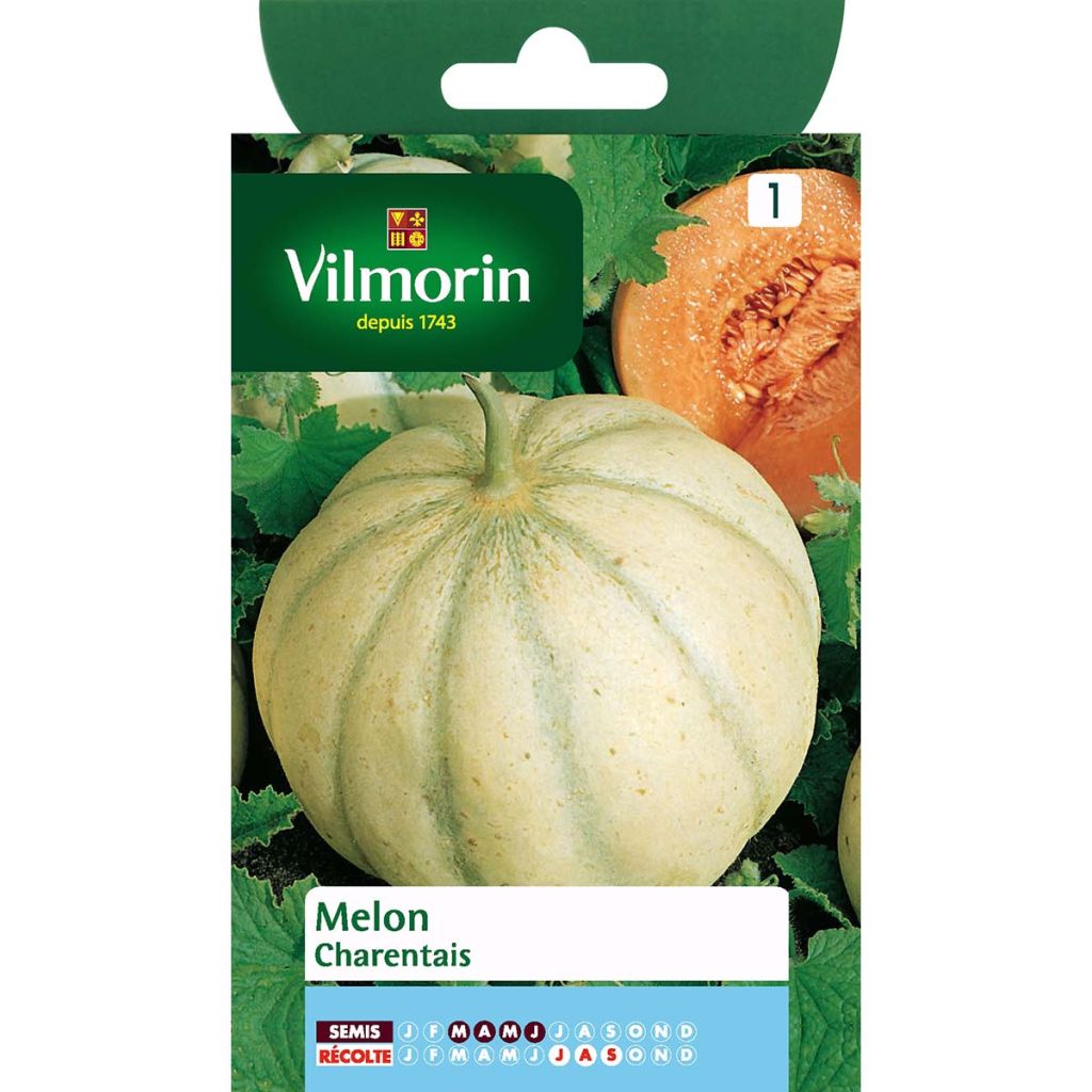 Melon Charentais - Vilmorin