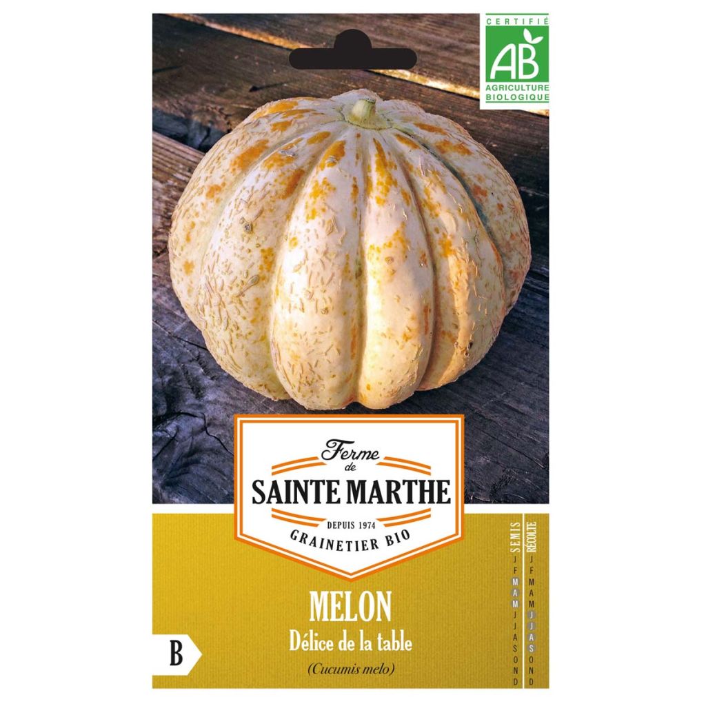Melon Délice de la Table Bio - Ferme de Sainte Marthe