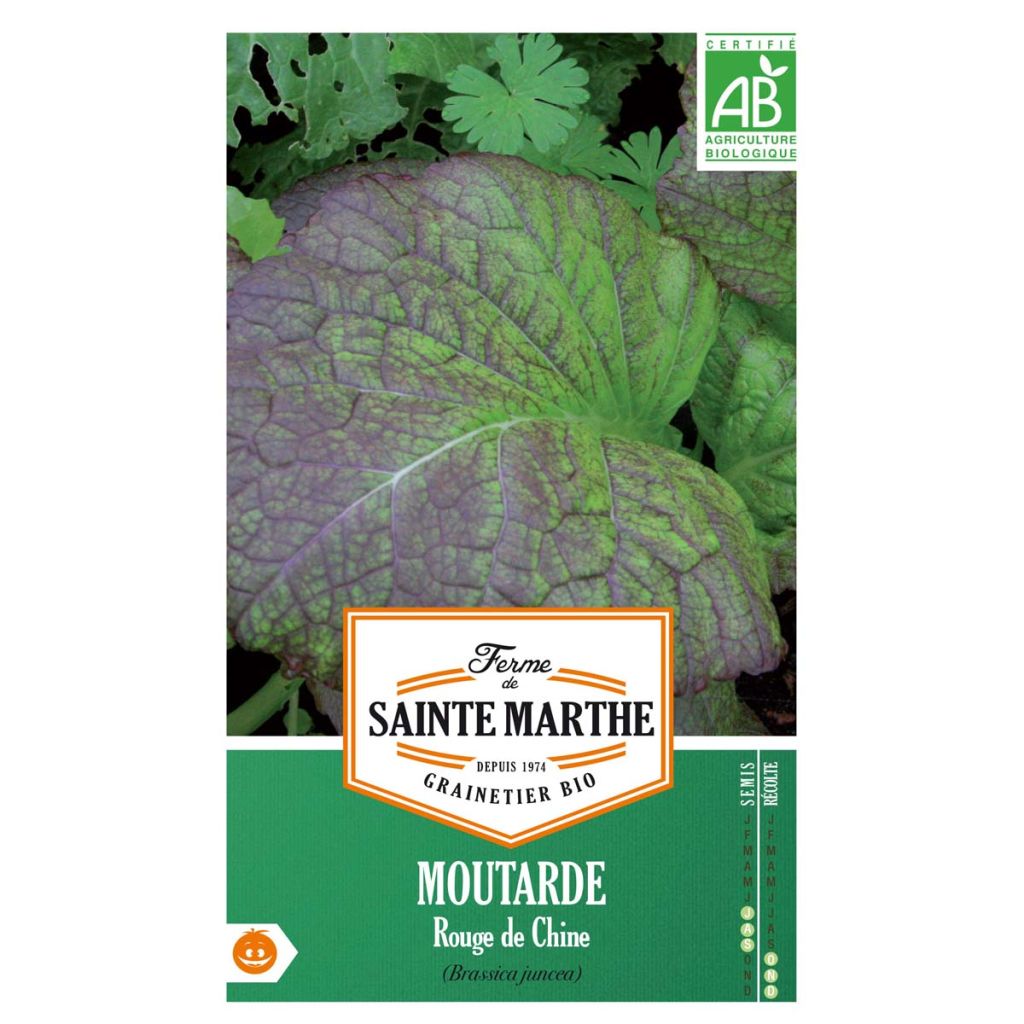 Moutarde Rouge de Chine Bio - Ferme de Sainte Marthe