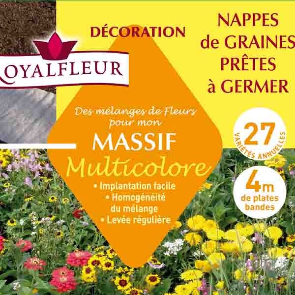 Mélange pour massif multicolore - Nappe