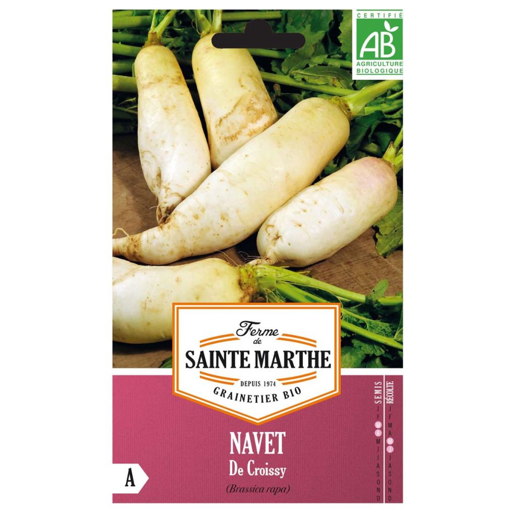 Navet de Croissy Bio - Ferme de Sainte Marthe