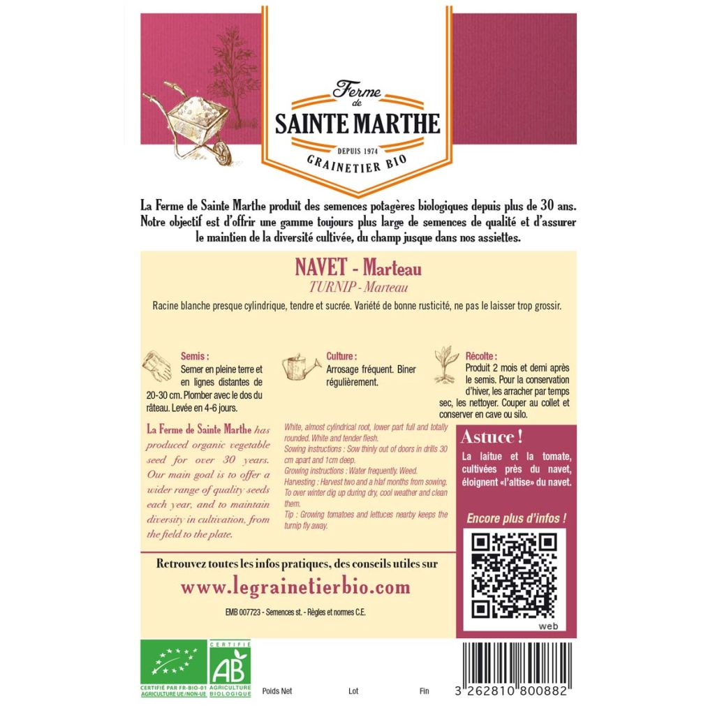 Navet marteau Bio - Ferme de Sainte Marthe