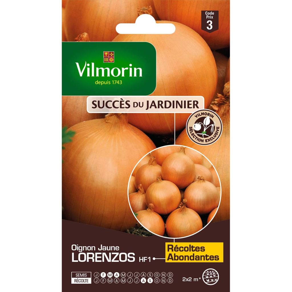 Oignon jaune Lorenzos (Obt. Vilmorin)  - Vilmorin