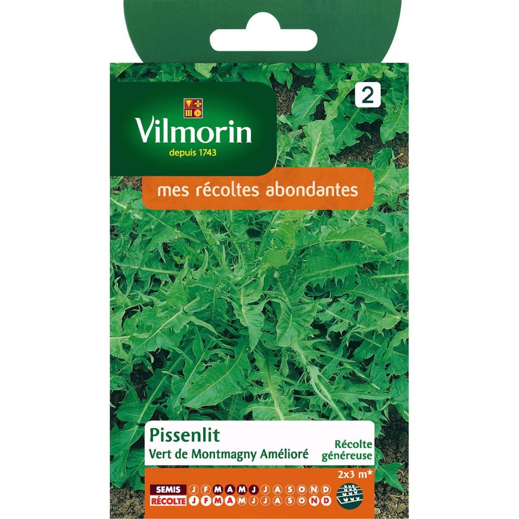 Pissenlit Vert de Montmagny amélioré - Vilmorin