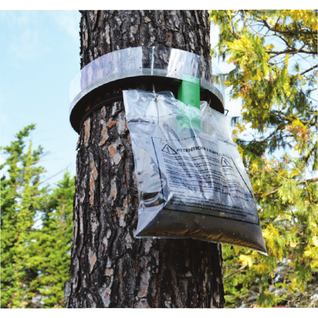 Kit de forte infection pour descente de chenilles processionnaires du pin Protecta