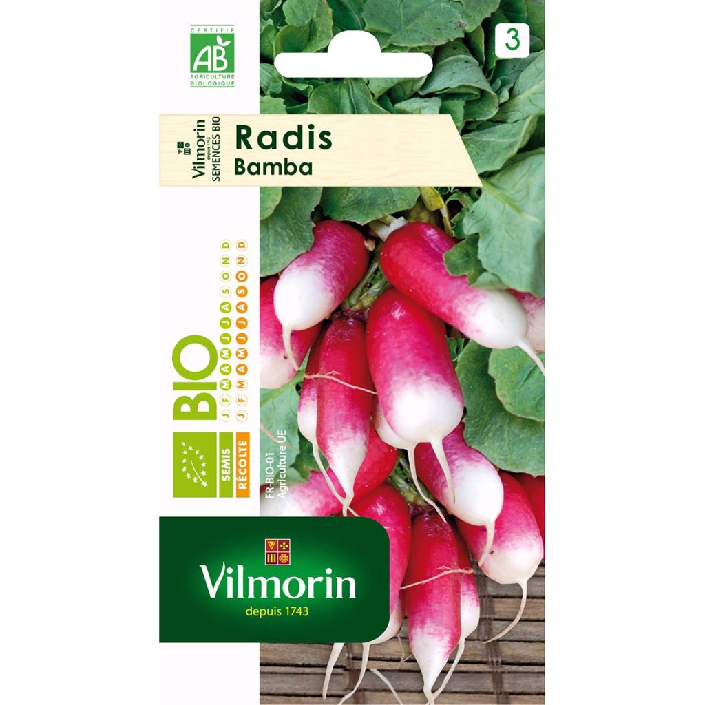 Radis Bamba Bio - Vilmorin