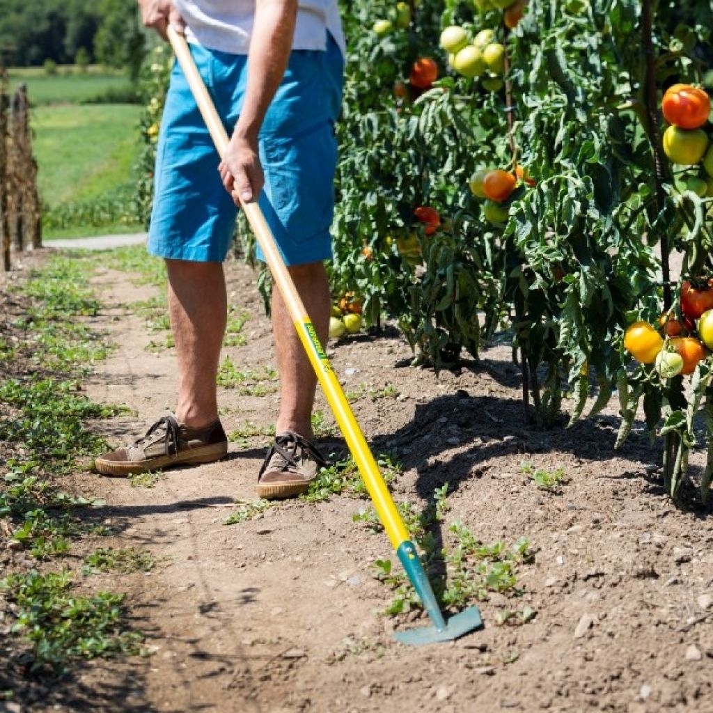 Ratissoire de jardin Leborgne NaturOvert 