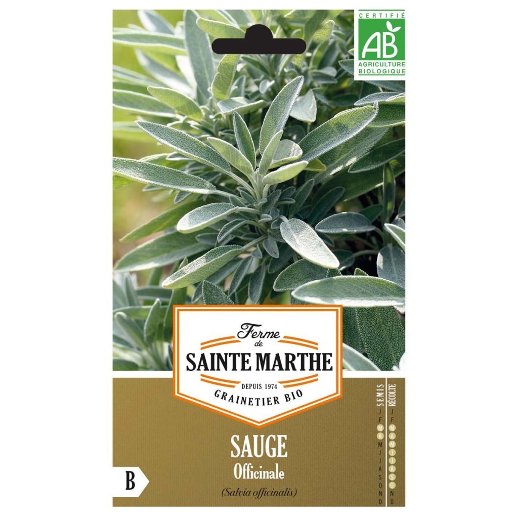 Sauge officinale AB - Ferme de Ste Marthe